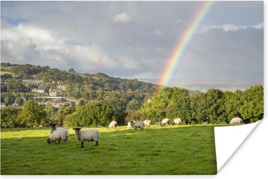 Poster De schapen op een weiland naast een regenboog - 30x20 cm