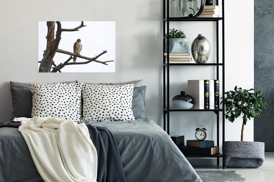 Poster Un faucon pèlerin sur la branche d'un arbre mort 60x40 cm - Tirage photo sur Poster (décoration murale salon / chambre)