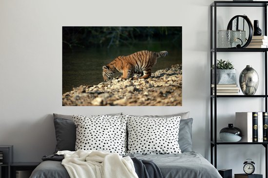 Sticker Muursticker Bébé tigre - bébé tigre - 120x80 cm - film adhésif autocollant - sticker mural repositionnable