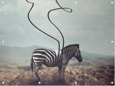 Abstracte zebra - Foto op Tuinposter - 80 x 60 cm