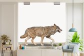 Behang jongenskamer - Fotobehang Wolf - Wit - Dieren - Jongens - Kids - Kinderen - Breedte 220 cm x hoogte 220 cm - Kinderbehang