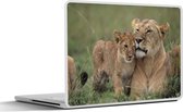 Laptop sticker - 15.6 inch - Leeuw - Welp - Wild - 36x27,5cm - Laptopstickers - Laptop skin - Cover