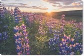 Muismat Weidebloemen - Lupines in bloei muismat rubber - 27x18 cm - Muismat met foto