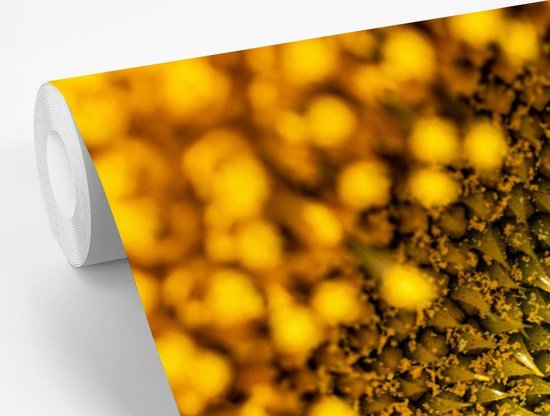 Papier peint - Papier peint photo peint - Noyau gros plan d'un tournesol - Largeur 420 cm x hauteur 280 cm