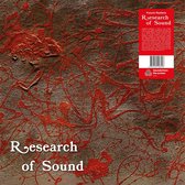 Puccio Roelens - Research Of Sound (LP)