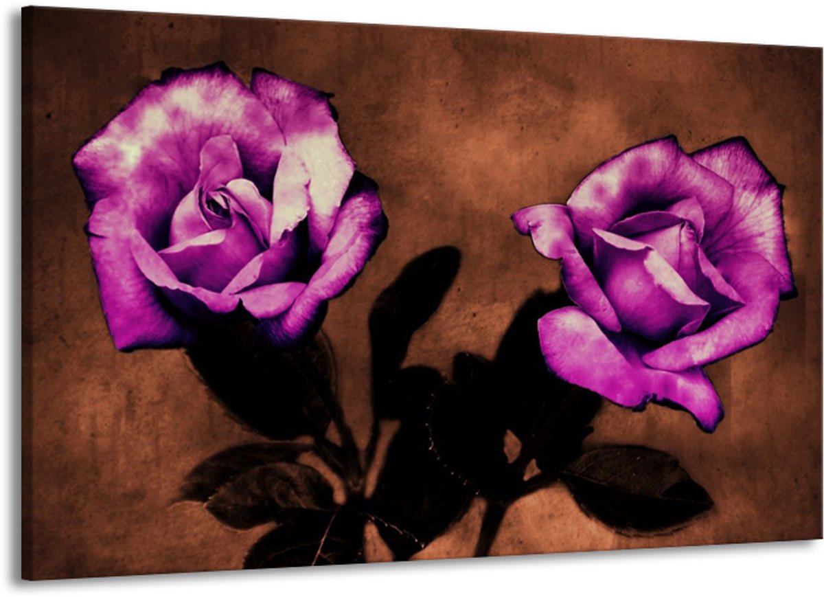 Schilderij Op Canvas - Groot - Roos - Paars, Bruin, Wit - 140x90cm 1Luik - GroepArt 6000+