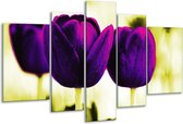 Peinture sur verre tulipe | Violet, vert, blanc | 170x100cm 5 Liège | Tirage photo sur verre |  F003739