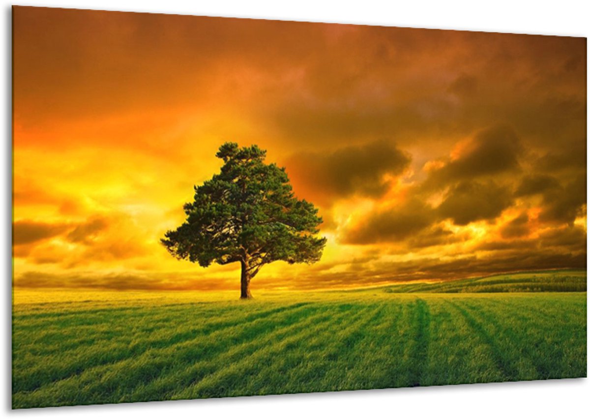 Glasschilderij Boom - Groen, Geel, Bruin - 120x70cm 1Luik - Foto Op Glas - Geen Acrylglas Schilderij - GroepArt 6000+ Glasschilderijen Art Collectie - Wanddecoratie - Woonkamer - Slaapkamer