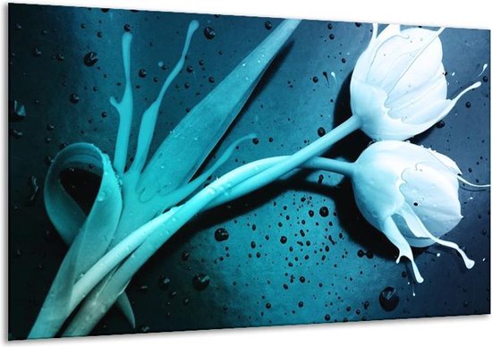 Peinture sur verre tulipe | Bleu blanc | 120x70cm 1Hatch | Tirage photo sur verre |  F004186