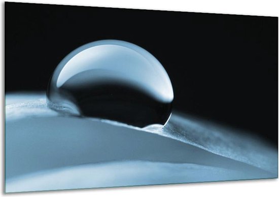 Glasschilderij Macro - Blauw - 120x70cm 1Luik - Foto Op Glas - Geen Acrylglas Schilderij - GroepArt 6000+ Glasschilderijen Art Collectie - Wanddecoratie - Woonkamer - Slaapkamer