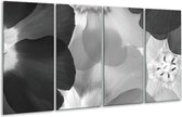 GroepArt - Glasschilderij - Bloem - Zwart, Grijs - 160x80cm 4Luik - Foto Op Glas - Geen Acrylglas Schilderij - 6000+ Glasschilderijen Collectie - Wanddecoratie