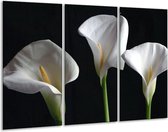 Glasschilderij Bloem - Wit, Geel, Zwart - 120x80cm 3Luik - Foto Op Glas - Geen Acrylglas Schilderij - GroepArt 6000+ Glas Art Collectie - Maatwerk Mogelijk
