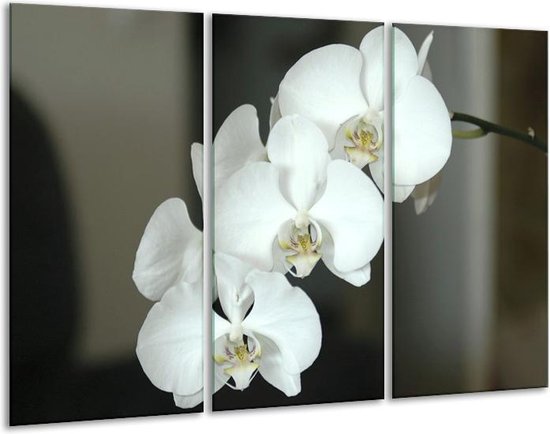 Glasschilderij Orchidee - Wit, Zwart, Grijs - 120x80cm 3Luik - Foto Op Glas - Geen Acrylglas Schilderij - GroepArt 6000+ Glas Art Collectie - Maatwerk Mogelijk