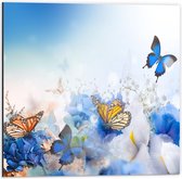 Dibond - Sprookjesachtige Blauwe Vlinders - 50x50cm Foto op Aluminium (Met Ophangsysteem)