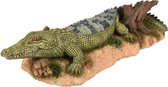 Aquarium decoratie Fauna Krokodil - 24 x 11 x 6 cm - Groen - 24 x 11 x 6 cm