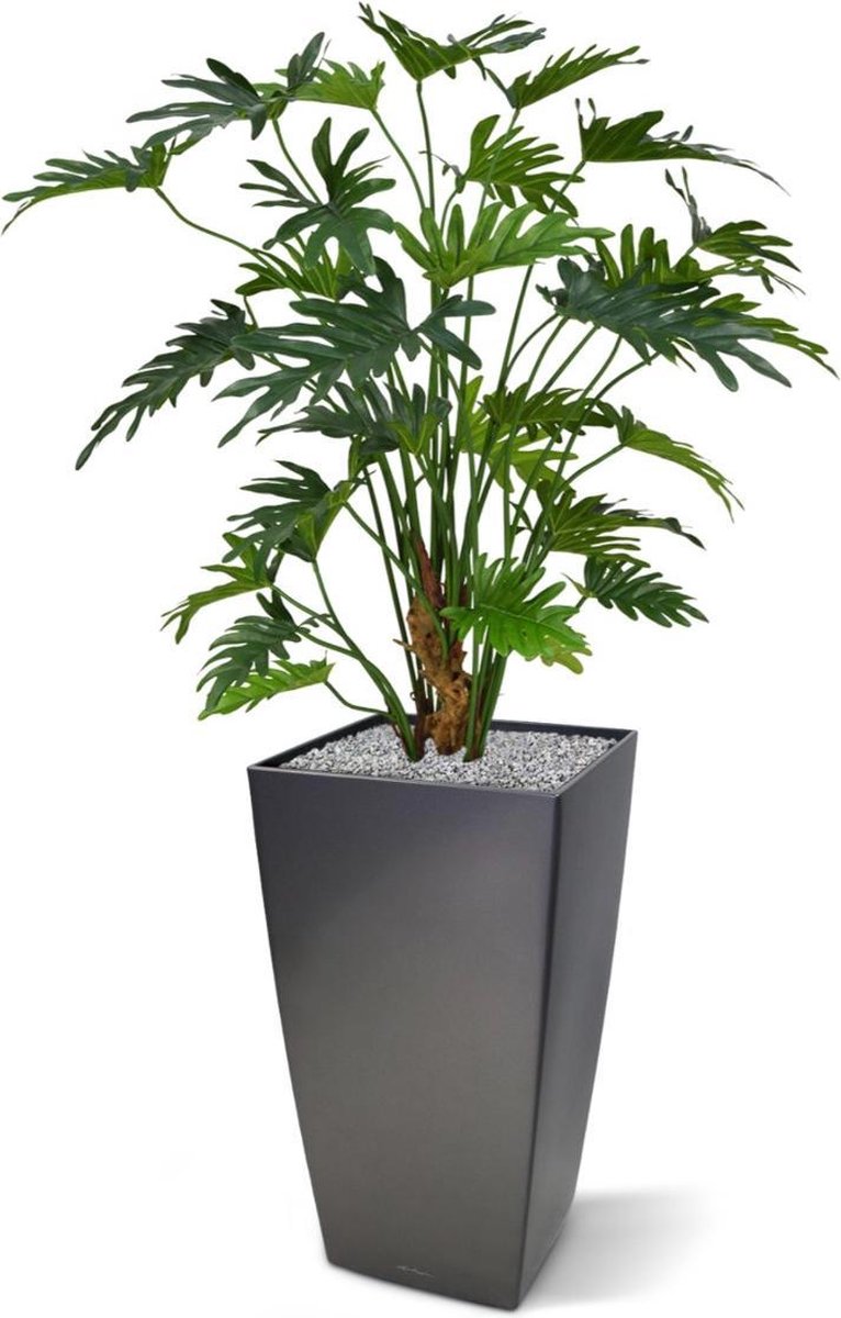 maxifleur Kunstplanten Philodendron Xanadu kunstplant 80cm Groen