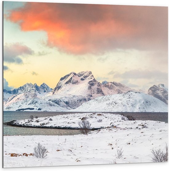 Dibond - Bergen langs Meer met Sneeuw - 100x100cm Foto op Aluminium (Met Ophangsysteem)