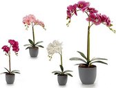 Decoratieve Bloem Plastic Orchidee