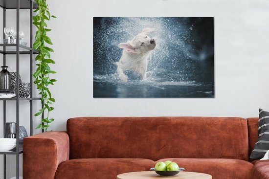 Labrador secoue la toile d'eau 2cm 140x90 cm - Tirage photo sur toile (Décoration murale salon / chambre) / Peintures sur toile pour Animaux domestiques