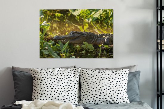Alligator américain en toile nature 2cm 60x40 cm - Tirage photo sur toile (Décoration murale salon / chambre)