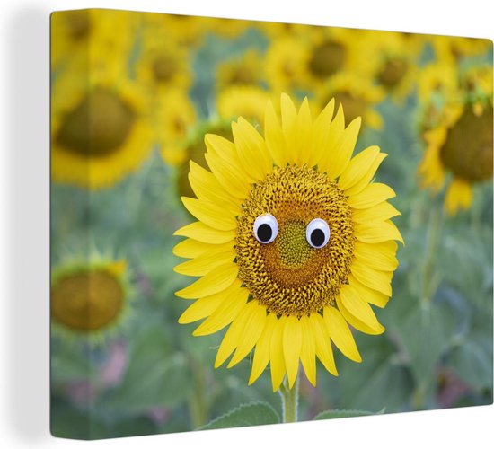 Peintures sur toile - Tournesol avec des yeux - 80x60 cm - Décoration murale