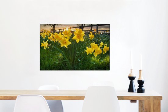Coucher de soleil derrière les jonquilles dans le champ 90x60 cm - Tirage photo sur toile (Décoration murale salon / chambre) / Peintures Fleurs sur toile