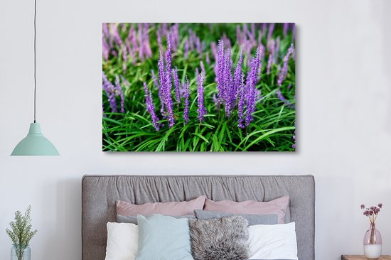 Tableau sur toile Herbe ornementale violette en gros plan - 150x100 cm - Décoration murale