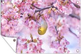 Muurdecoratie Vogel - Sakura - Bloemen - Dieren - 180x120 cm - Tuinposter - Tuindoek - Buitenposter