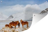Tuinposters buiten Bruine IJslander paarden aan de voet van een besneeuwde berg - 90x60 cm - Tuindoek - Buitenposter
