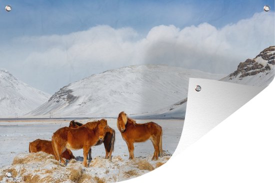 Tuinposters buiten Bruine IJslander paarden aan de voet van een besneeuwde berg - 90x60 cm - Tuindoek - Buitenposter