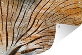 Muurdecoratie Een dwarsdoorsnede van een boomstam - 180x120 cm - Tuinposter - Tuindoek - Buitenposter