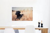 Canvas Schilderij Een Labrador Retriever ligt in het hoge gras - 90x60 cm - Wanddecoratie