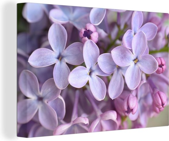 Close up of purple lilas Canvas 90x60 cm - Tirage photo sur toile (Décoration murale salon / chambre)