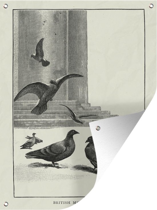 Tuin decoratie Een illustratie van duiven buiten het British museum - 30x40 cm - Tuindoek - Buitenposter