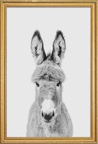 JUNIQE - Poster met houten lijst Donkey Classic -20x30 /Wit & Zwart