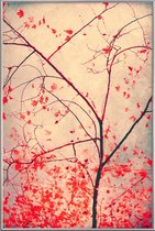 JUNIQE - Poster met kunststof lijst Red October -20x30 /Blauw & Bruin