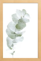 JUNIQE - Poster in houten lijst Eucalyptus White 1 -20x30 /Groen & Wit