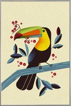 JUNIQE - Poster met kunststof lijst Toucan II -13x18 /Kleurrijk