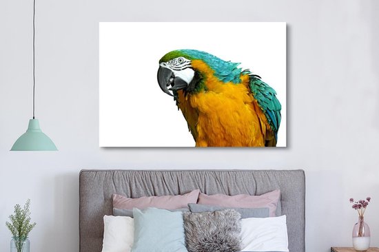 Perroquet devant toile de fond blanc 2cm 180x120 cm - Tirage photo sur Toile (Décoration murale salon / chambre) / Animaux sauvages Peintures sur toile XXL / Groot format!