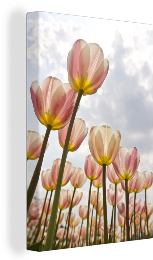 Toile - Rose avec tulipes blanches ciel nuageux - 20x30 cm - Décoration