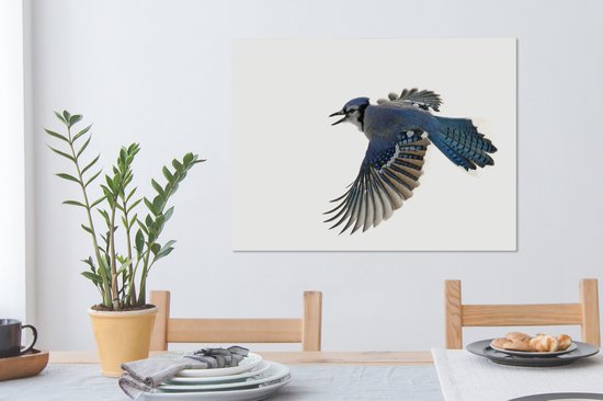 Blue Jay devant toile fond blanc 2cm 80x60 cm - impression photo sur toile peinture Décoration murale salon / chambre à coucher) / Animaux sauvages Peintures Toile