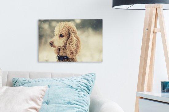 Caniche Witte dans la neige 30x20 cm - petit - Tirage photo sur toile (Décoration murale salon / chambre) / Peintures sur toile pour Animaux domestiques