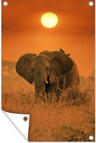 Tuindecoratie Olifant in zonsopgang - 40x60 cm - Tuinposter - Tuindoek - Buitenposter