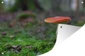 Tuinposter - Tuindoek - Tuinposters buiten - Rood met witte paddenstoel - 120x80 cm - Tuin