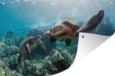 Tuinposter - Tuindoek - Tuinposters buiten - Twee zeeschildpadden - 120x80 cm - Tuin