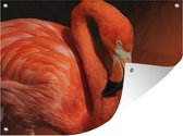 Tuinschilderij Een portretfoto van een rode flamingo - 80x60 cm - Tuinposter - Tuindoek - Buitenposter