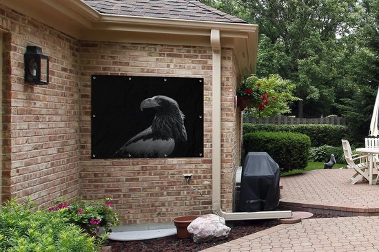 Affiche jardin - Toile jardin - Posters de jardin extérieur - Aigle - Gros plan - Bec - 120x90 cm - Jardin