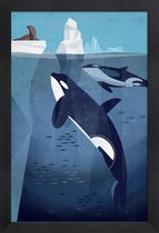 JUNIQE - Poster met houten lijst Vintage orka -13x18 /Blauw