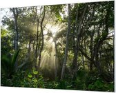 Wandpaneel Tropisch Regenwoud  | 210 x 140  CM | Zilver frame | Wandgeschroefd (19 mm)