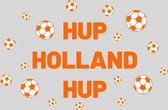 Nederlands elftal stickers | EK & WK raamsticker statisch | Herbruikbare stickers | Hup holland hup ORANJE | Raamdecoratie voetbal | EK stickers | EK raamstickers